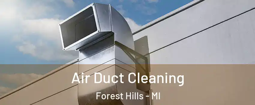  Air Duct Cleaning Forest Hills - MI