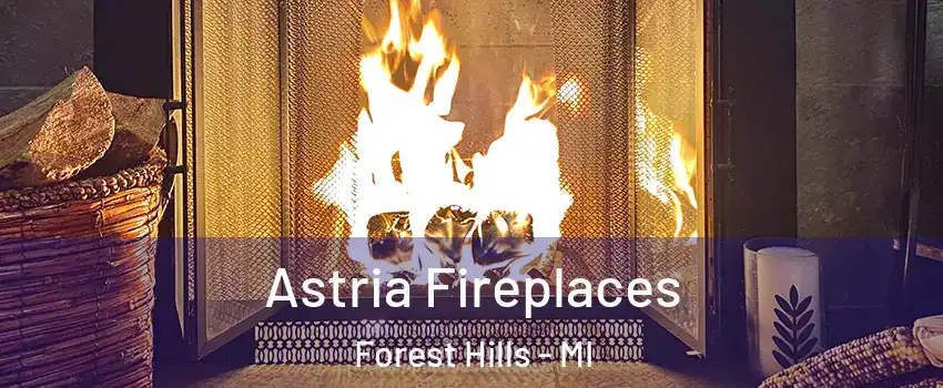  Astria Fireplaces Forest Hills - MI