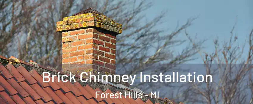  Brick Chimney Installation Forest Hills - MI