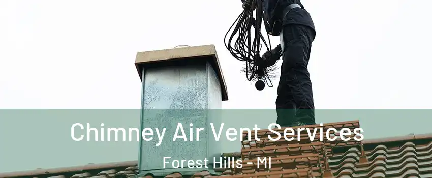 Chimney Air Vent Services Forest Hills - MI