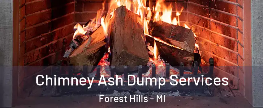  Chimney Ash Dump Services Forest Hills - MI