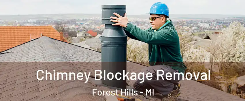  Chimney Blockage Removal Forest Hills - MI