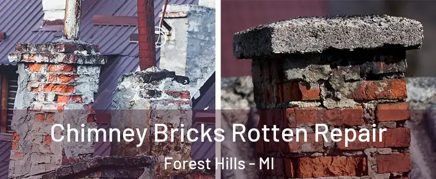  Chimney Bricks Rotten Repair Forest Hills - MI