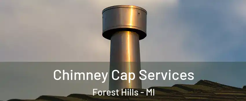  Chimney Cap Services Forest Hills - MI