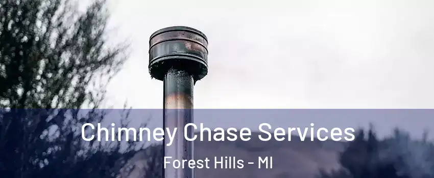  Chimney Chase Services Forest Hills - MI