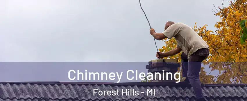  Chimney Cleaning Forest Hills - MI