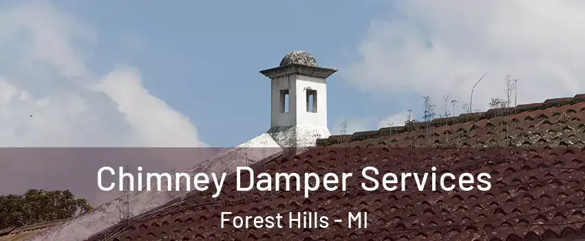  Chimney Damper Services Forest Hills - MI