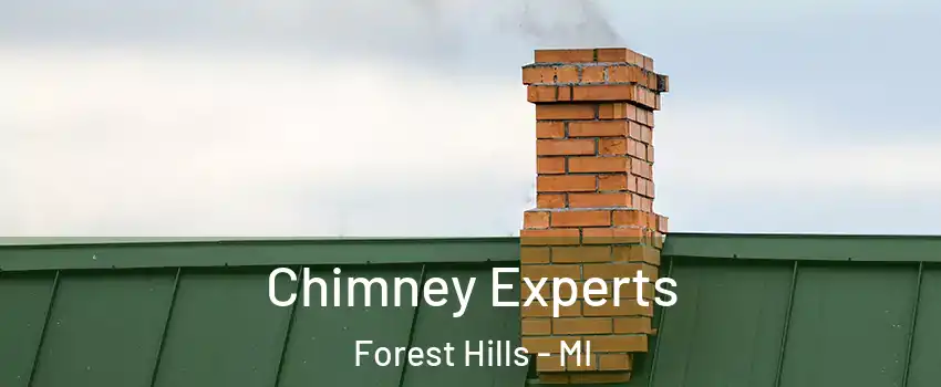 Chimney Experts Forest Hills - MI