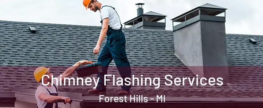  Chimney Flashing Services Forest Hills - MI