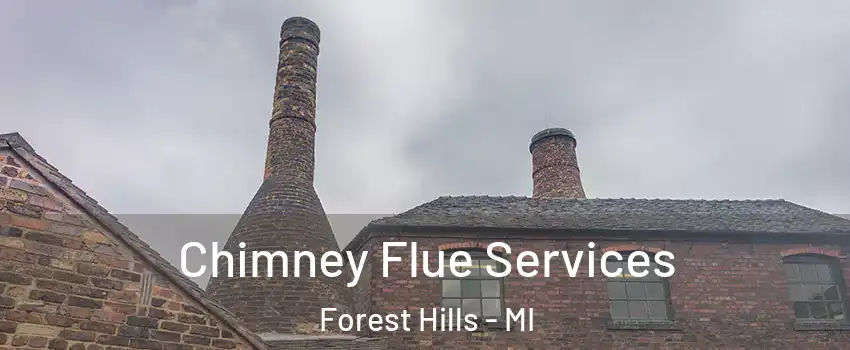  Chimney Flue Services Forest Hills - MI
