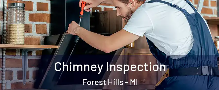  Chimney Inspection Forest Hills - MI