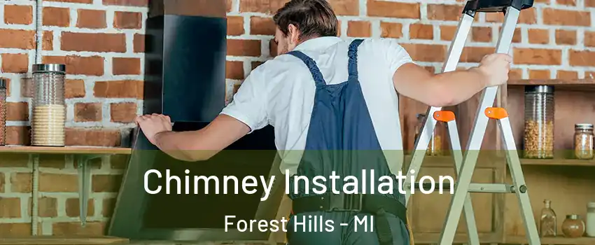  Chimney Installation Forest Hills - MI