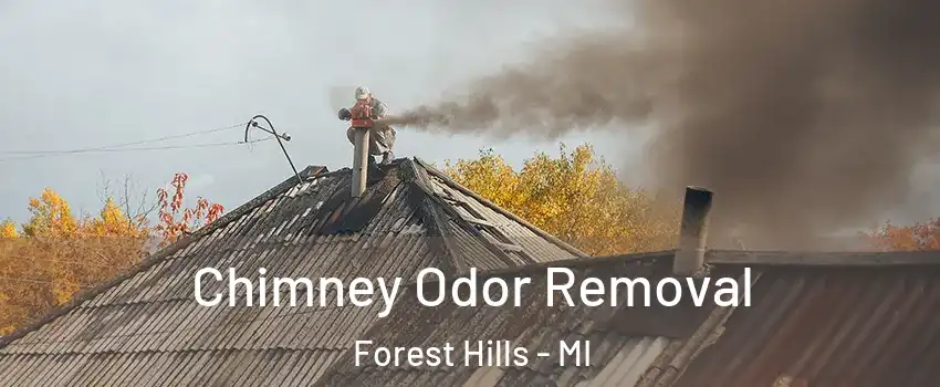  Chimney Odor Removal Forest Hills - MI