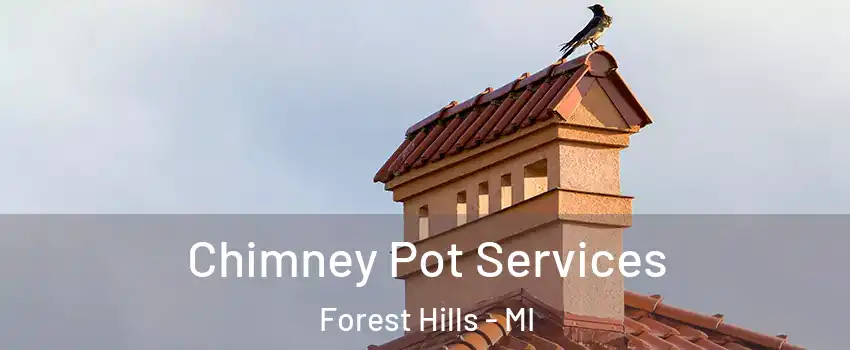  Chimney Pot Services Forest Hills - MI