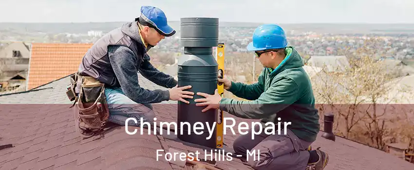  Chimney Repair Forest Hills - MI