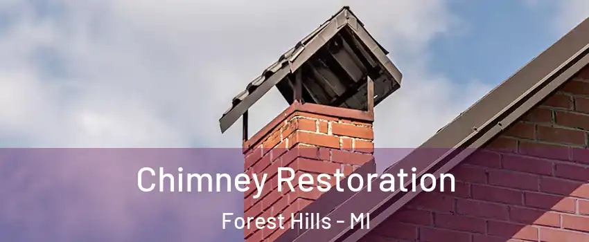  Chimney Restoration Forest Hills - MI