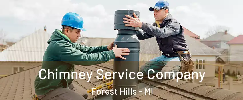  Chimney Service Company Forest Hills - MI