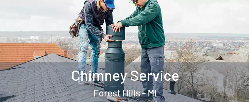  Chimney Service Forest Hills - MI