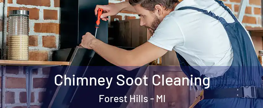  Chimney Soot Cleaning Forest Hills - MI