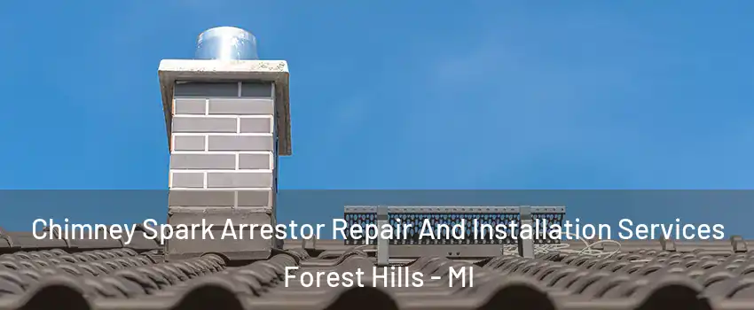  Chimney Spark Arrestor Repair And Installation Services Forest Hills - MI