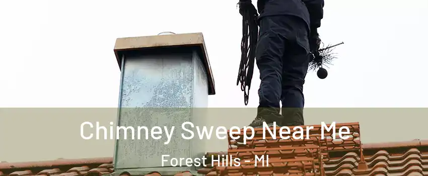  Chimney Sweep Near Me Forest Hills - MI