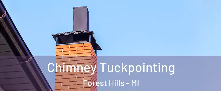  Chimney Tuckpointing Forest Hills - MI