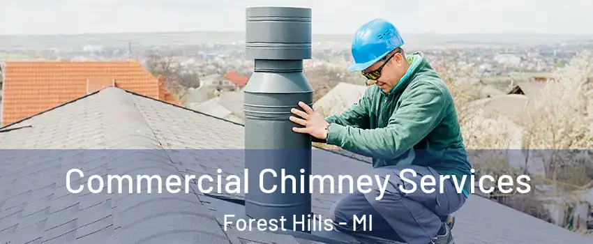  Commercial Chimney Services Forest Hills - MI