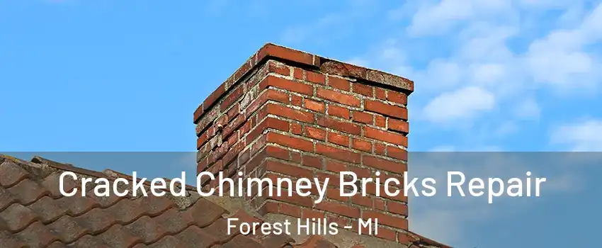  Cracked Chimney Bricks Repair Forest Hills - MI