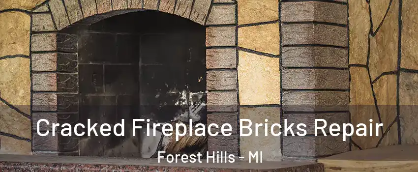  Cracked Fireplace Bricks Repair Forest Hills - MI