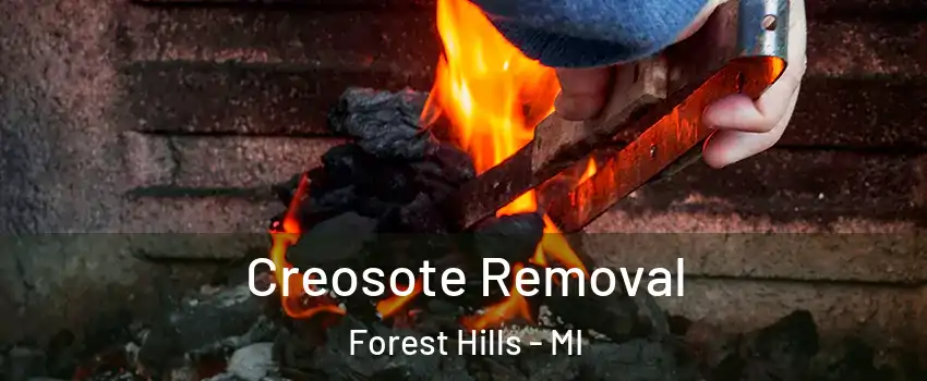  Creosote Removal Forest Hills - MI