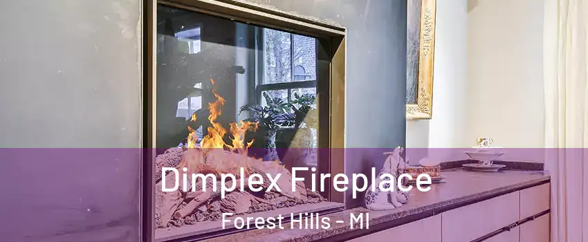  Dimplex Fireplace Forest Hills - MI