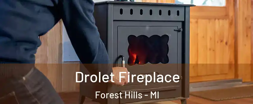  Drolet Fireplace Forest Hills - MI