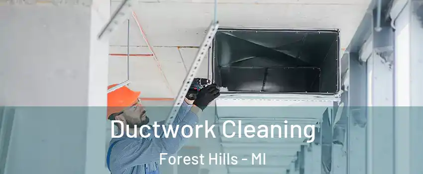  Ductwork Cleaning Forest Hills - MI