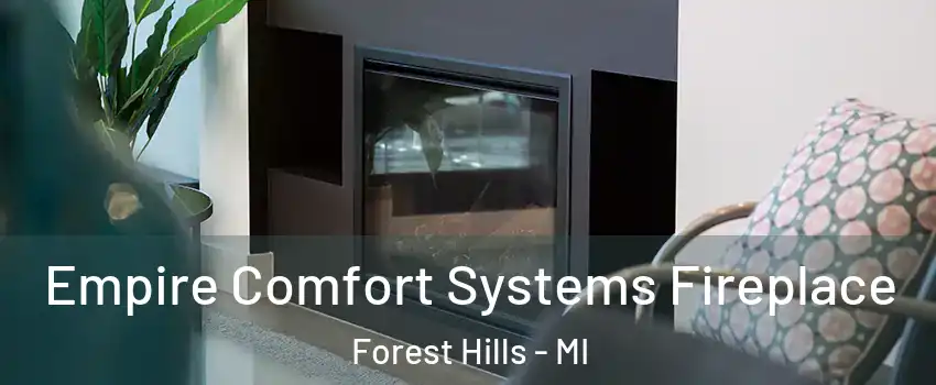 Empire Comfort Systems Fireplace Forest Hills - MI