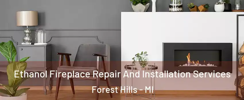  Ethanol Fireplace Repair And Installation Services Forest Hills - MI