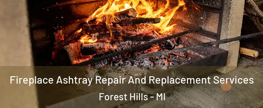  Fireplace Ashtray Repair And Replacement Services Forest Hills - MI