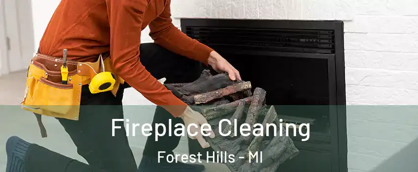  Fireplace Cleaning Forest Hills - MI