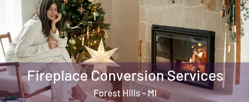  Fireplace Conversion Services Forest Hills - MI