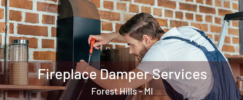  Fireplace Damper Services Forest Hills - MI