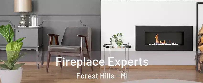  Fireplace Experts Forest Hills - MI