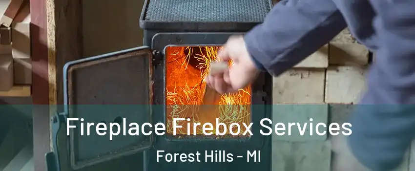  Fireplace Firebox Services Forest Hills - MI