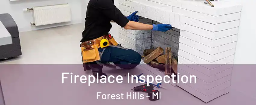  Fireplace Inspection Forest Hills - MI