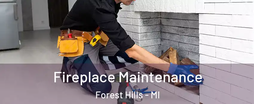  Fireplace Maintenance Forest Hills - MI
