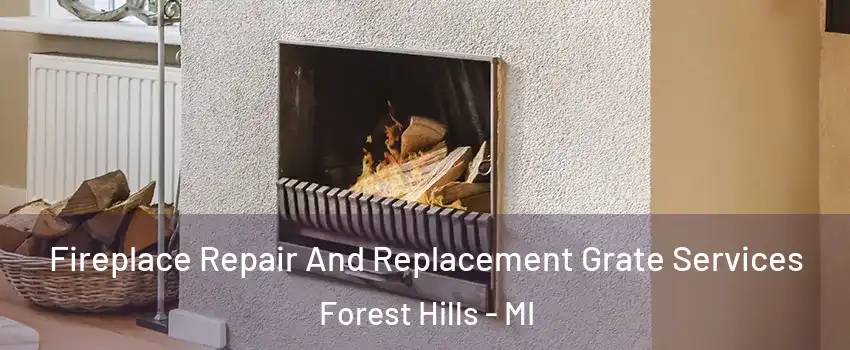  Fireplace Repair And Replacement Grate Services Forest Hills - MI