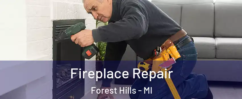  Fireplace Repair Forest Hills - MI