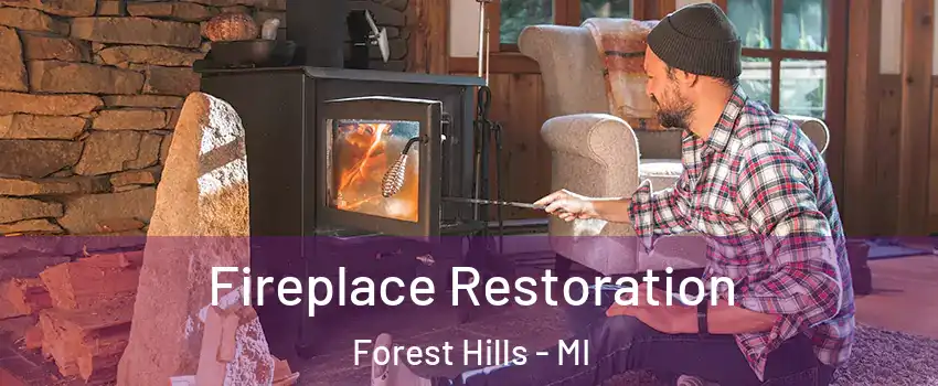  Fireplace Restoration Forest Hills - MI