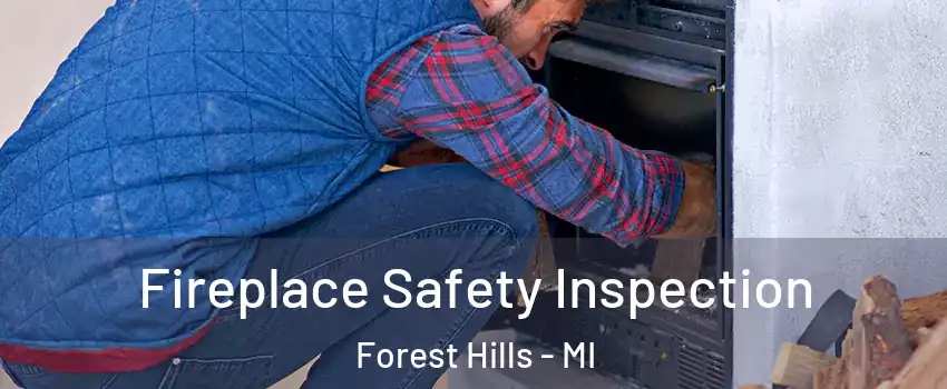  Fireplace Safety Inspection Forest Hills - MI