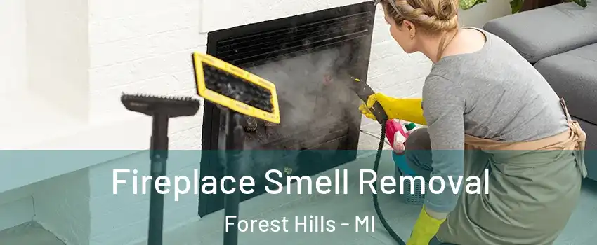  Fireplace Smell Removal Forest Hills - MI