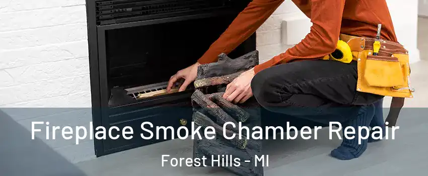  Fireplace Smoke Chamber Repair Forest Hills - MI