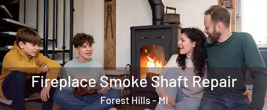  Fireplace Smoke Shaft Repair Forest Hills - MI